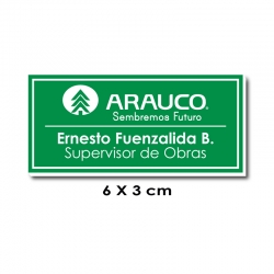 Piocha con Nombre, Cargo y Logo 6x3 centímetros - Verde / Blanco, Elaboración exprés