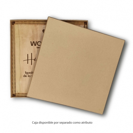 Caja Galvano 30 x 30 cm
