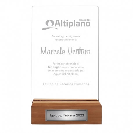Galvano de Acrílico con base de madera Grande