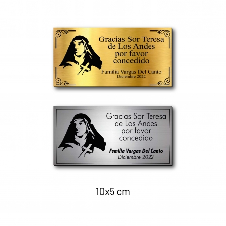 SOR TERESA DE LOS ANDES 