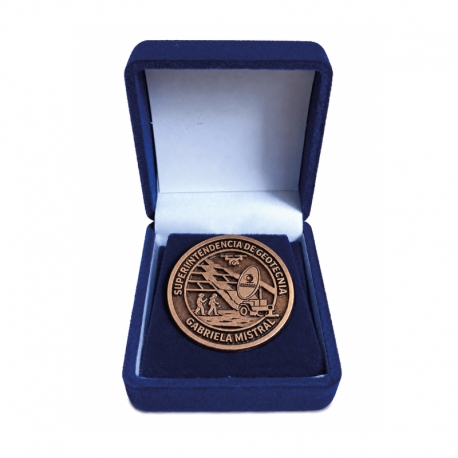 Pin Metálico Personalizado de Zamac con Estuche de Presentación